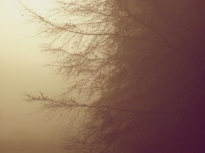 Er was op deze dag veel mist langs het water wat deze foto opleverde.