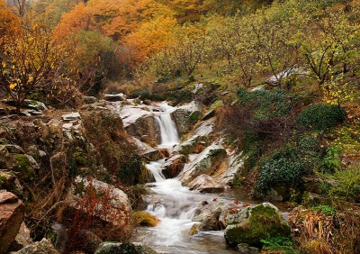 Op een regenachtige dag in Extremaduru de bergen in gereden ten noorden van Plasencia. Wat een prachtige herfstkleuren en enkele waterstroompjes uit de bergen.