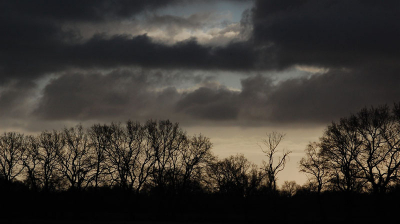 Cursus landschapfotografie.
Bewolkt af en toe wat regenspetters