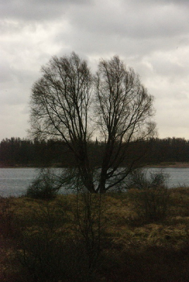 Fotoworkshop Basis Natuurfotografie. Leentoestel, helaas verkeerde ISO instelling