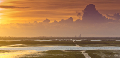 Oostvaardersplassen vanuit kijkhut Zeearend, moest helaas door het glas heen, maar is gelukkig weinig van te zien.