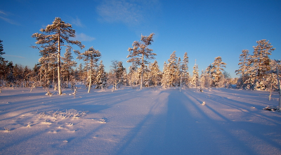 Deze foto vond ik zelf ook nog wel mooi van afgelopen kerstvakantie. Eerder kwam er al commentaar op het vele blauw in de foto, maar dat komt omdat het op die dag gewoon ook zo was (net als vele andere dagen in de winter).