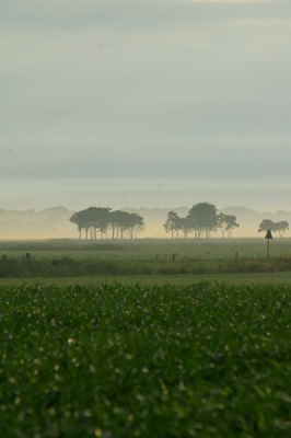 <i class='fa fa-user'></i> M. ten Wolde | Landschap langs de wieden  <i class='fa fa-eye'> 172</i>   <i class='fa fa-comment-o'> 7</i>