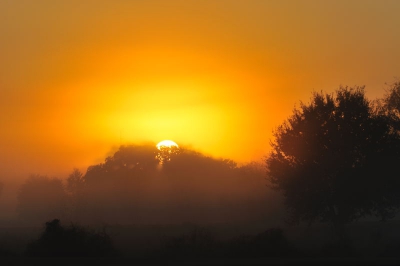 De zon was een vuurbal deze ochtend en de lichte mist geeft daar een extra accent aan.