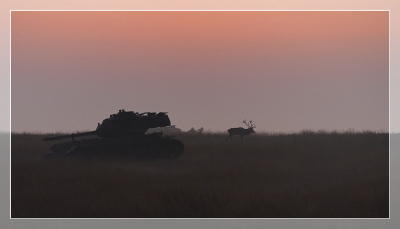 Oude Man, Oud IJzer.
Deze meneer had ik al een paar ochtenden zien lopen, moe en niet meer in staat dames te bemachtigen. Van deze teleurstelling heb ik geprobeer een treffend plaatje te maken. 
Na een paar keer lukte me het dit plaatje te schieten.