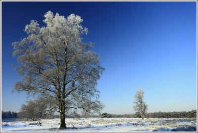 Koud, Zon en in een mooie omgeving. Genomen met een polorisatiefilter ervoor.