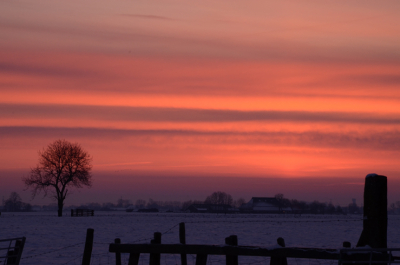 De foto is in de vroege en erg koude ochtend genomen in de buurt van Zuidhorn.