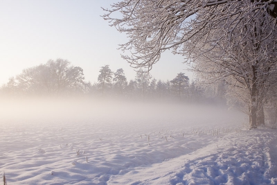 Een wandeling langs de rand van de Veluwe (nabij Elburg). Het was een kraakheldere dag, totdat eind van de middag een laaghangende mist langzaam over de velden naar binnen trok.
