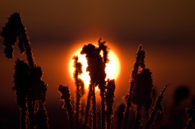 Bij min 19 graden deze foto gemaakt. Vanaf statief omdat ik lichtelijk bibberde...