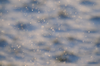 Het was koud die dag en het had gesneeuwd. Overal zweefden kristallen in de lucht en het leek me wel leuk om met 600 mm een foto te maken. Handmatig scherpgesteld (willekeurig)