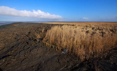 Afgelopen zondag deze foto gemaakt bij de pier van Holwerd. Meestal worden er daar vooral foto's gemaakt van vogels etc, maar ik vond het met het mooie weer ook wel eens leuk daar een landschapsfoto te maken.