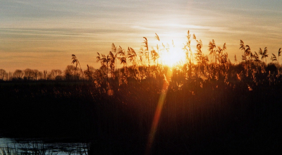 na een mooie winters wandeling ging de zon prachtig onder, wat we mooi konden vastleggen op de gevoelige plaat