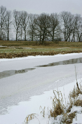 Foto gemaakt tijdens Natuurfotoworkshop. Opdrachten: lijnen in het landschap, beweging in de compositie. Ik heb getracht het stromende water in beeld te brengen door de geribbelde reflectie van de bomen in het water te fotograferen in een verder verstilde en verijsde omgeving.