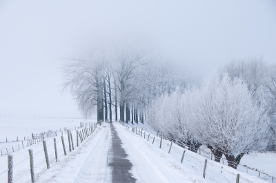 De datum van 4 februari zullen velen zich herinneren. Een met ruige rijp aangekleed landschap met een langzaam optrekkende mist.