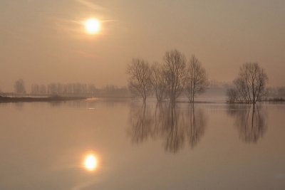 Wat geluk gehad met de lichte ochtendmist die de zon wat sluierde.