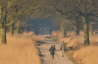 Voor dag en dauw zitten wachten op de edelherten
over de gehele ochtend 3 mensen gezien
uitgerekend deze drie hadden hun dag
soms zit het mee soms tegen
