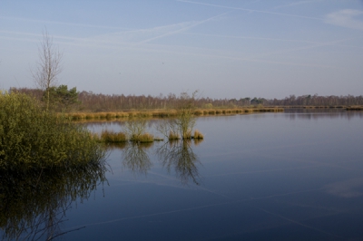 Geprobeerd om de reflectie's van de struiken en de strepen in de lucht in het water te vangen.