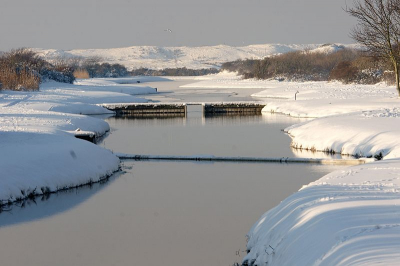 Hier een foto van het duinlandschap,zo als ik het vorige winter mocht aan schouwen.Af en toe was er geen door komen aan.Was volgens mij beleving een halve meter hoog of zelfs nog meer.