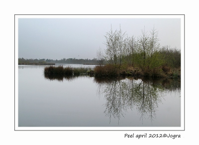 Een workshop natuurfotografie op een grijze zaterdagochtend. Niet ideaal voor mooie foto's.