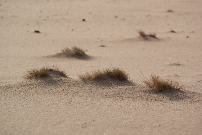In de ochtenzon gemaakt uit de hand tijdens de workshop op zaterdag 18 april