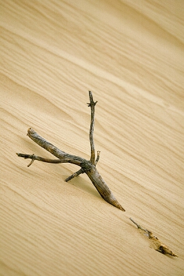 <i class='fa fa-user'></i>&nbsp;Frank+Jolanda Timmermans&nbsp;| Oud Reemsterzand&nbsp; <i class='fa fa-eye'>&nbsp;177</i> &nbsp; <i class='fa fa-comment-o'>&nbsp;4</i>