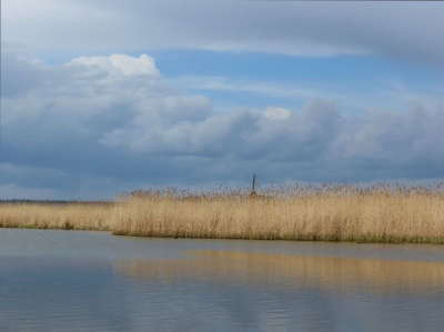Even lekker eruit en hopen mooie natuur tegen te komen