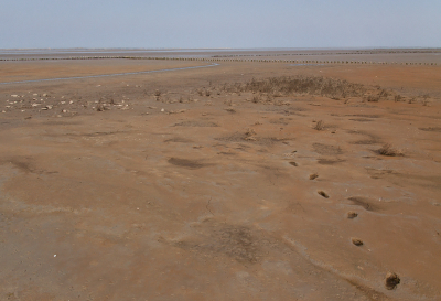 Afgelopen woensdag toen het water een zeer laag peil bereikte en het wad behoorlijk droog kwam te staan kleurde het geheel rood.