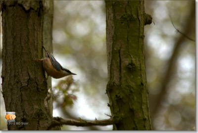 Tijdens een workshop is deze foto gemaakt. Het weer was afwisselend zonnig en bewolkt.