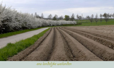 deze foto is gemaakt in ons dorpje
klein dorpje maar gezelig wel
hier zit men de weilanden op