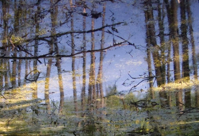 Reflectie van bomen en zonlicht.
Foto 180 graden geroteerd (naar J. Klerken).