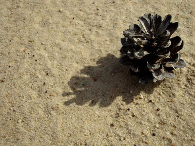 Bewolkt weer, af en toe zon.  Van bovenaf genomen om de schaduw tot zijn recht te laten komen.