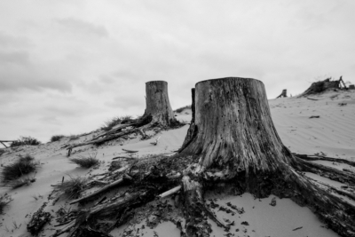 Foto gemaakt tijdens een erg leuke landschapsfotografie cursus op Kootwijkerzand. Ben pas net begonnen met fotograferen, alle commentaar is welkom!