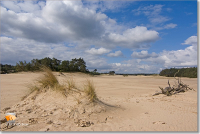 tijdens workshop Hulshorsterzand op 2 juli. Opdracht was om diepte in de foto aan te brengen