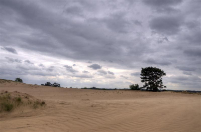 Foto gemaakt tijdens workshop landschapsfotografie Kootwijkerzand met Bendiks Westerink. Leerzaam en leuk om te doen.