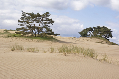 tijdens een workshop gemaakt. Diepte gecre�erd door op de voorgrond het gras mee te nemen. Ook de golven in het zand vond ik mooi.