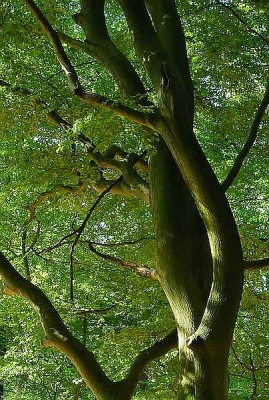 Fel zonnige omstandigheden. Foto genomen op statief.