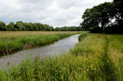 Workshop Landschapsfotografie, de lastige opdracht: werken met lijnen in het landschap. Bosrand, beek en paadje lijken in hetzelfde punt samen te komen (ergens achter de boom).