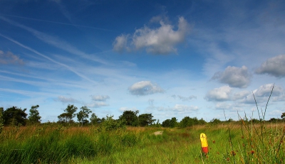 Prachtig Hollands weer. Experiment tijdens de workshop met een kleurrijk element onder in de hoek.