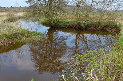 Aan het eind van de middag genoten vanaf een bruggetje  van het mooie plaatje van de spiegelingen in het diepje. Het is nog een foto van 2011. Dit jaar kan ik doo omstandigheden weinig foto's maken.