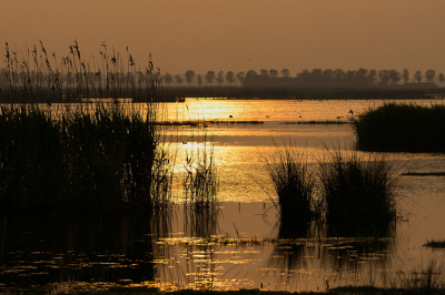 Op een ( toen nog) mooie zondagavond. De Groene Jonker werd voor zonsondergang een Gouden Jonker. Een poosje later begon het te onweren.
