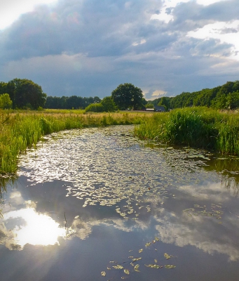 Dit kleine loopje komt hier in een groter diep uit. Bij avondlicht genomen door de spijlen van een bruggetje heen