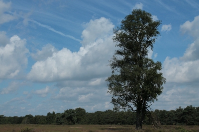Workshop Landschapsfotografie, uit de hand genomen