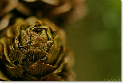 bewolkte , met af en toe een flauw zonnetje. 
Foto uit de hand genomen
