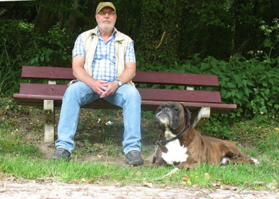 zonnig omstandigheden,een bijzondere foto hoe een hond kan kijken naar de camera met een trotse blik,de hond bevind zich rechts op de foto