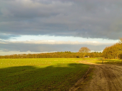 Oude foto's bekijkend om over te zetten naar LR 4 kwam ik deze foto tegen en was weer verrast door het mooie licht tussen twee regenbuien