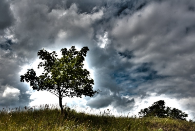 Een boompje bovenop een duin. Erachter de dreigende lucht van een naderende regenbui. Dit leende zich goed voor een HDR-opname, met de horizon laag.