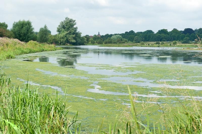 deze landschapsfoto is gemaakt vanaf statief met gebruik van polarisatiefoto tijdens workshop filtergebruik in Renkum