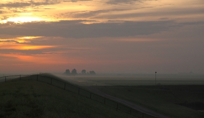 's Morgens vroeg kan het licht zo mooi zijn dat ik niet begrijp waarom ik niet vaker wat eerder opsta!
