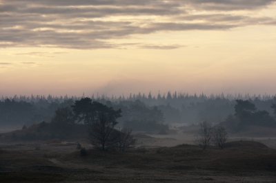 Het was vroeg in de ochtend, de zon was net opgekomen en er hing nog wat ochtend mist over de toppen van de bomen. De mooie rode ochtend gloed maakt het plaatje af.