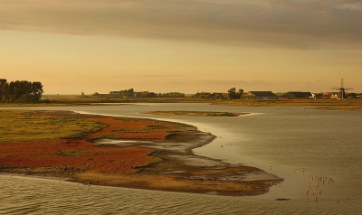 Foto is 's avonds na acht uur gemaakt, in de verte molen "De Zwaan" van Moriaanshoofd.